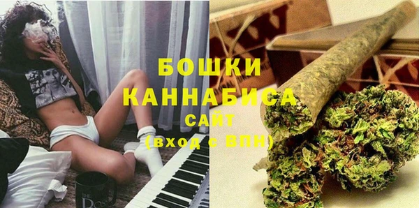 гидра Нея
