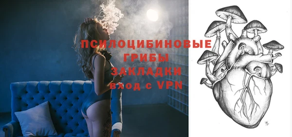 винт Новозыбков