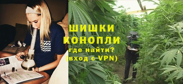 гидра Нея