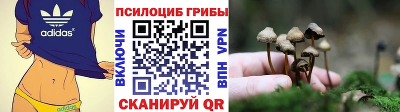 hydra зеркало  Большой Камень  Галлюциногенные грибы мицелий 