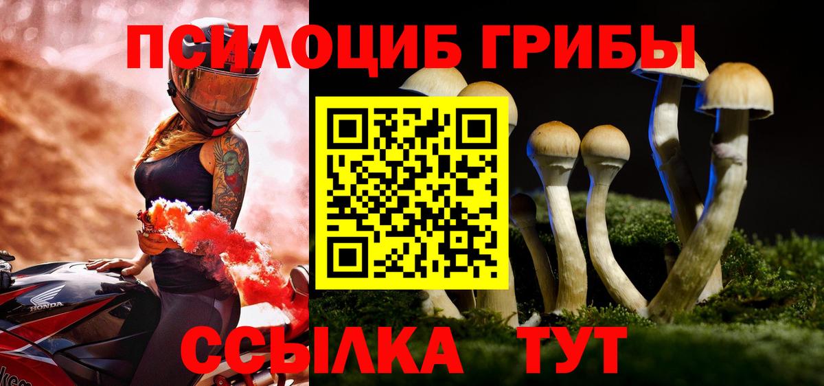 как найти закладки  Большой Камень  Псилоцибиновые грибы MAGIC MUSHROOMS 