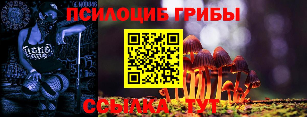 Псилоцибиновые грибы Psilocybe Большой Камень