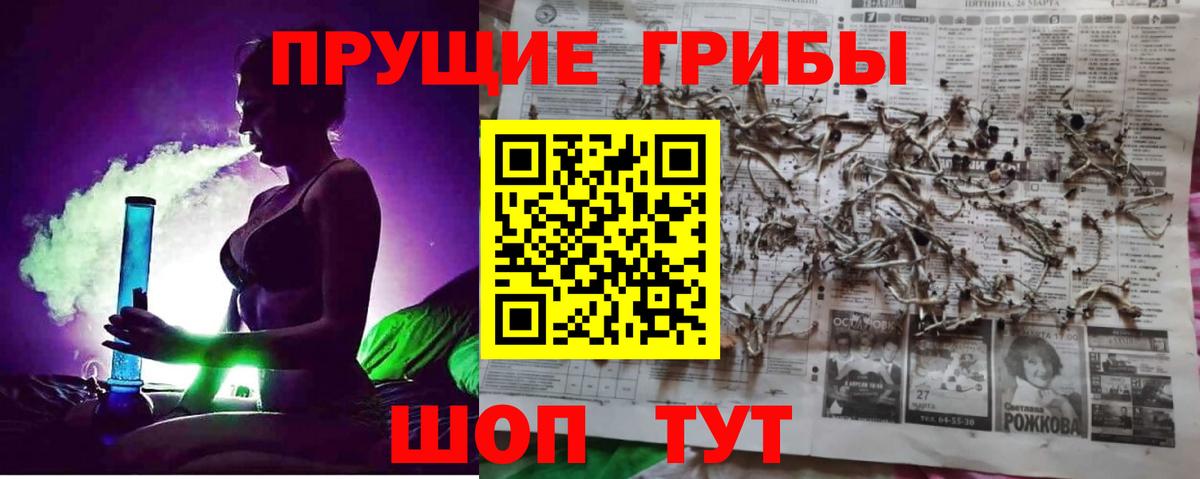 Псилоцибиновые грибы GOLDEN TEACHER Большой Камень
