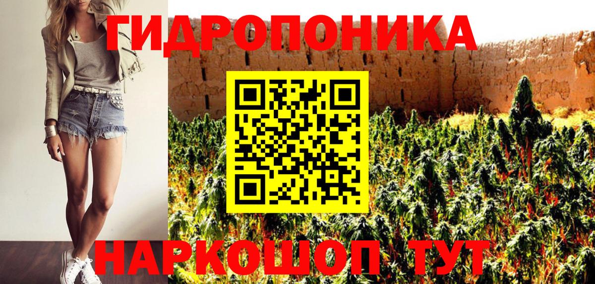 Канабис гибрид  Бошки марихуана White Widow  Большой Камень  Конопля OG Kush 